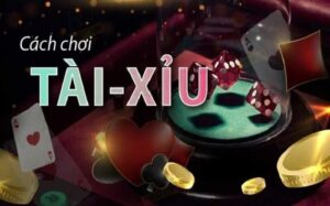 Tại sao nên chơi tài xỉu online tại KU11 net?